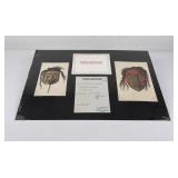 Haida Indian Northwest Coast Chromo Lithographs