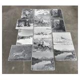 Bill Gabriel National Audubon Society Photos