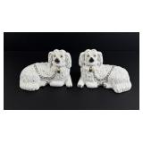 English Staffordshire Recumbent Spaniels Dogs