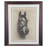 Jack Jac Elmo King Saddlehorse Drawing