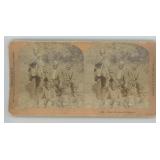 Black Americana Baked Possum Stereoview