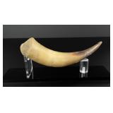 Montana Frontier Steer Horn
