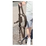 WHS Newhouse #6 Hand Forged Bear Trap