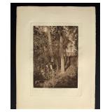 Edward Curtis Cutting the Centre Pole Photogravure