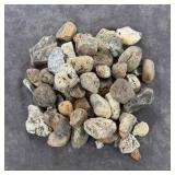 Jewelry Grade Montana Agate Rough