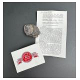 Campo del Cielo Meteorite