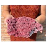Natural Red Organ Pipe Coral
