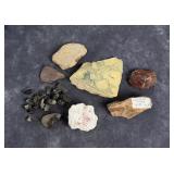 Collection of Mineral Specimens and Fossils