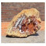 Agatized Coral Mineral Specimen
