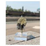 Butte Montana Covellite Chalcopyrite Specimen