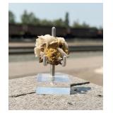 Baryte Mineral Specimen