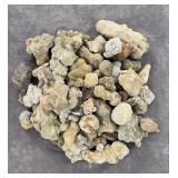 Collection of Concretion Mineral Specimens
