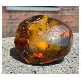 Raw Baltic Amber Nugget