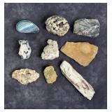 Collection of Mineral Specimens and Fossils