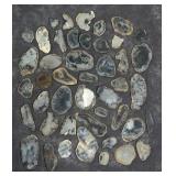 Jewelry Grade Montana Agate Slabs