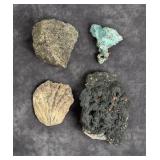 Collection of Mineral Specimens and Fossils