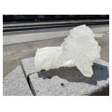Angel Wing Fishtail Selenite Mineral Specimen