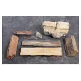 Montana Fossil Petrified Wood