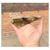 Smoky Quartz Crystal with Inclusions