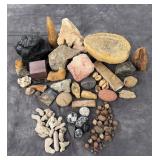 Collection of Fossils and Mineral Specimens