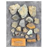 Collection of Mineral Specimens