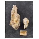 Lone Pine Montana Opalized Wood Specimens