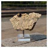 Butte Montana Covellite Mineral Specimen