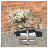 Pyrite and Quartz Mineral Specimen