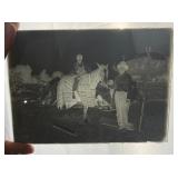 Sitting Bull's Horse Glass Photo Negative