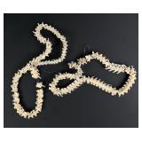 Collection of Snake Vertebrae