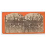 N.J. Trenham Sioux Indian Camp Stereoview