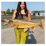 Montana Lake Trout Real Skin Taxidermy Fish Mount