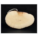 Fossilized Walrus Ivory Belt Buckle
