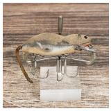 Heddon Meadow Mouse Fishing Lure