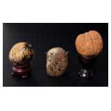 Chinese Hediao Walnut and Tagua Nuts