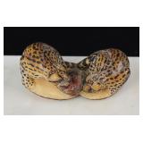 Wounan Indian Leopards Feasting Tagua Nut Carving