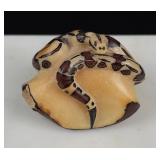 Wounan Indian Boa Constrictor Tagua Nut Carving