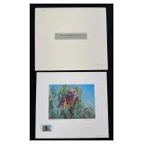 2014 Texas Nongame Stamp Print