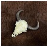 Jack Muir Bison Skull Bronze