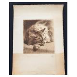 Ferdinand Oger Sleeping Cat Drypoint Etching
