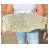 Fossil Fish Sea Creature Hash Death Plate