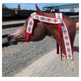 Native American Indian Beaded Headstall