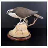 Stephen Adams Northern Goshawk Wood Carving
