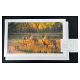 Nancy Glazier Shadow Time Print