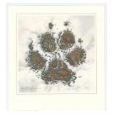 Bev Doolittle The Sacred Circle Print