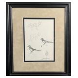 Jay Contway Magpies and Coyotes Drawing