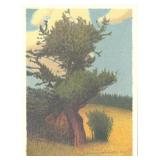 Russell Chatham Bristlecone Pine Lithograph