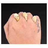Montana Bull Elk Ivory Teeth
