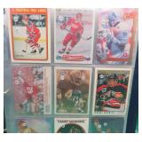 200+ Sportscard Lot Mix Of Sports Fedorov RC Elway