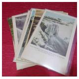 Early 1900s Lot 10 Niagara Falls Postcards OLD